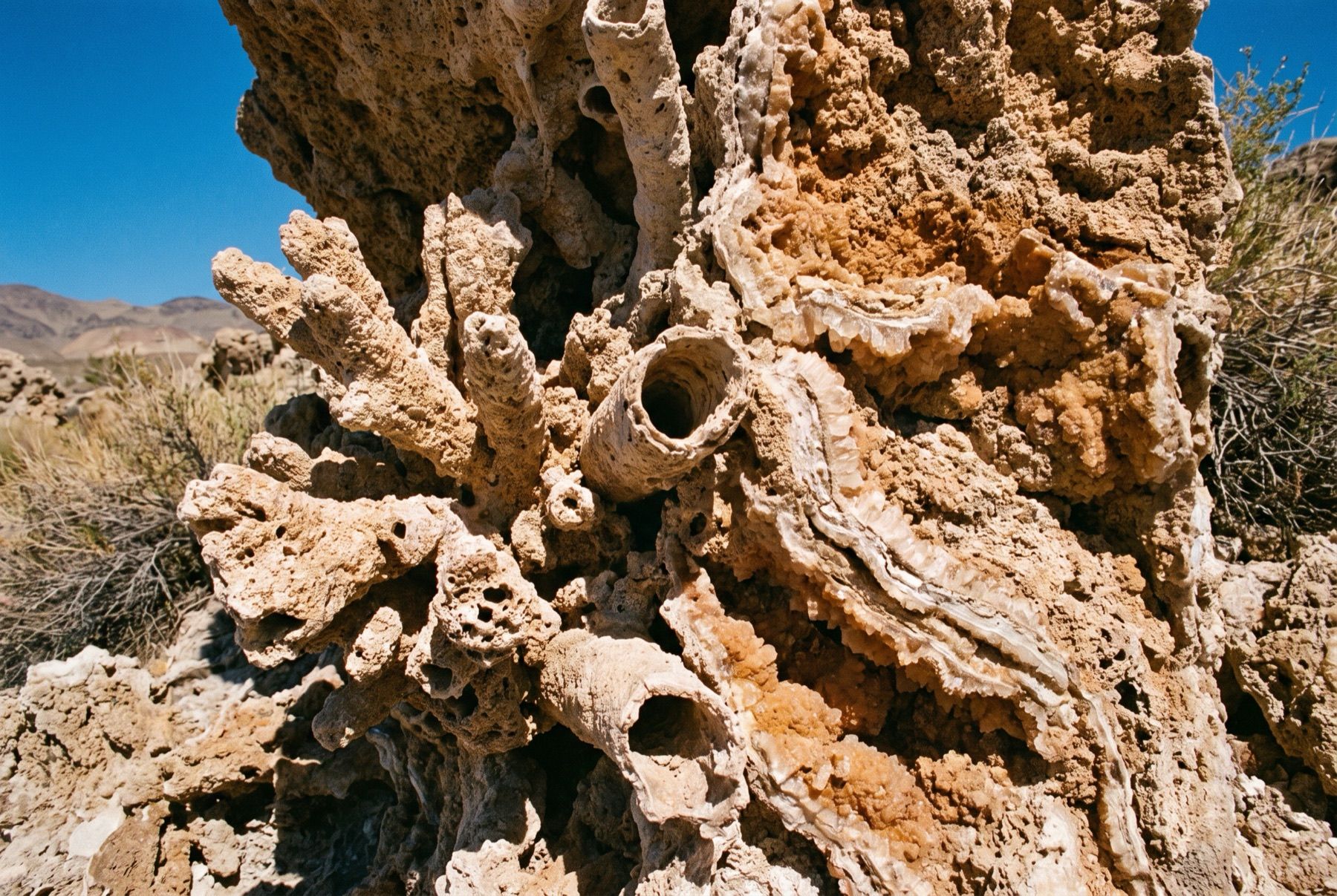 Porous tufa rock formations showing tubular and pillow-like calcium carbonate structures on the lake shore.
