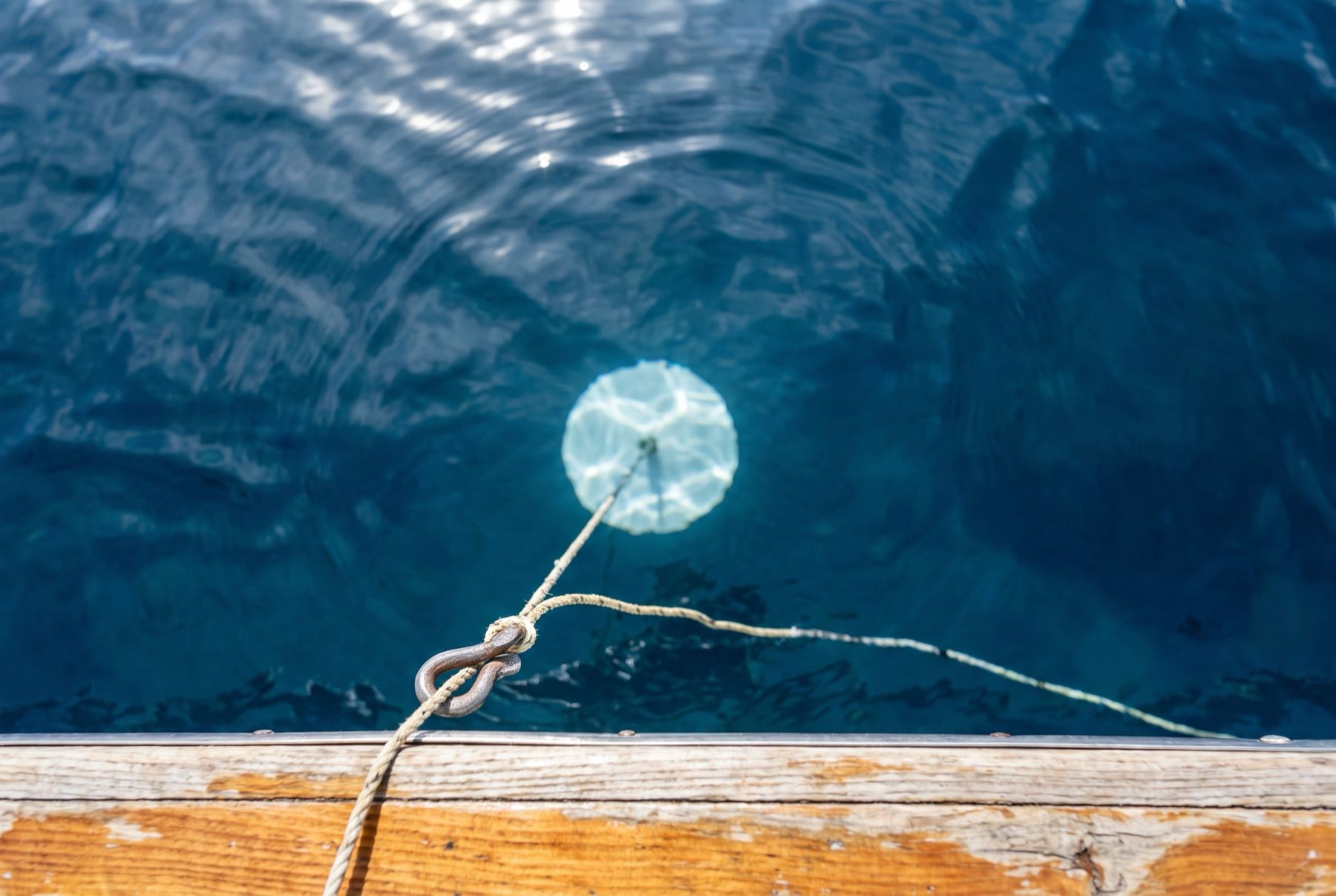 A white ten-inch Secchi disk visible beneath the deep blue water of Lake Tahoe.