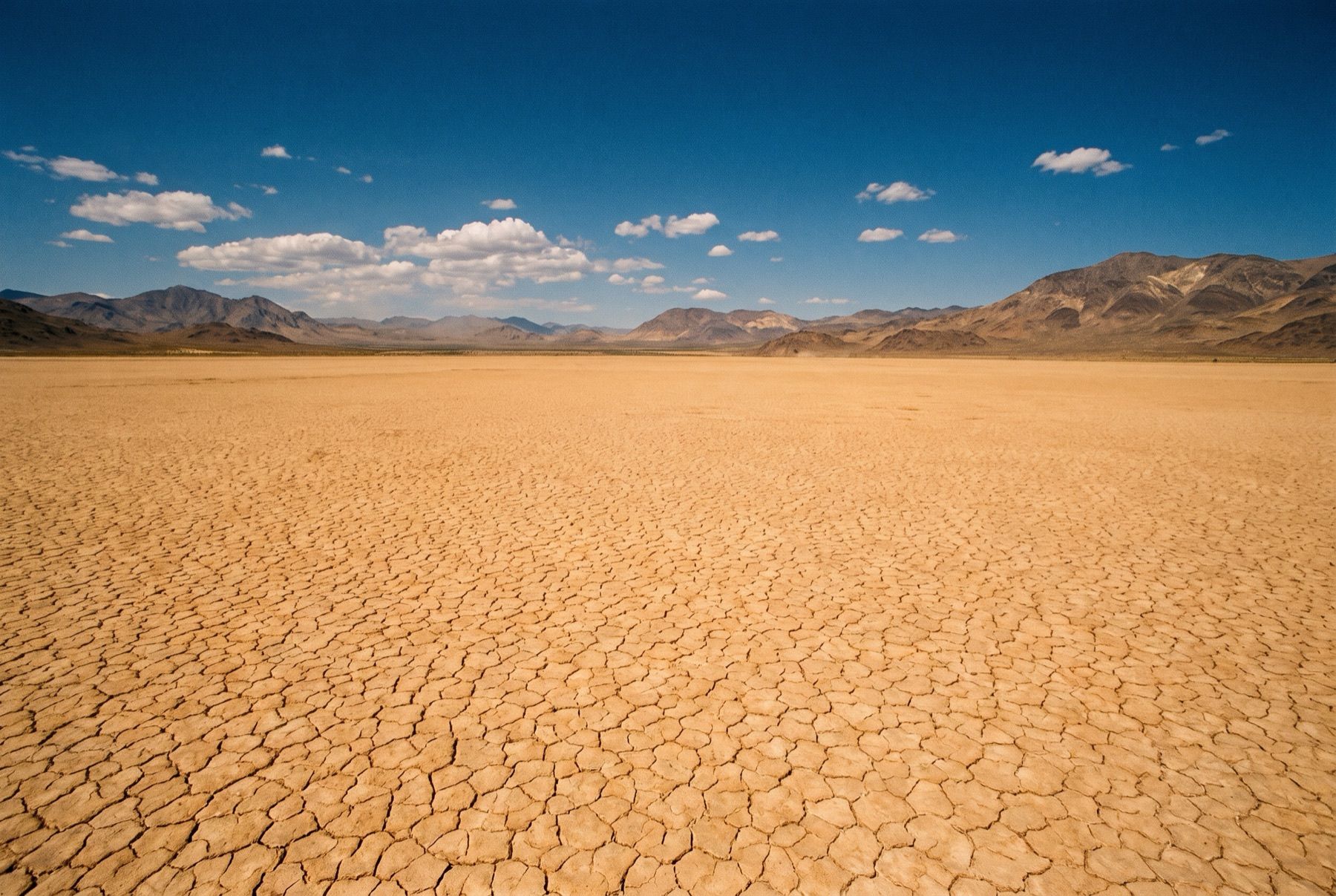A close-up view of the dried mud silt pattern on the expansive Black Rock Desert playa.